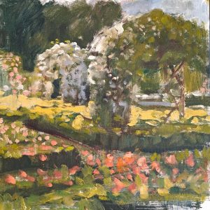Rosaleda del Retiro II. 30×30cm